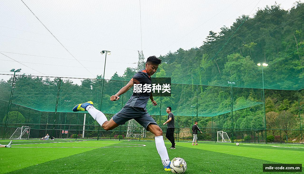 服务种类